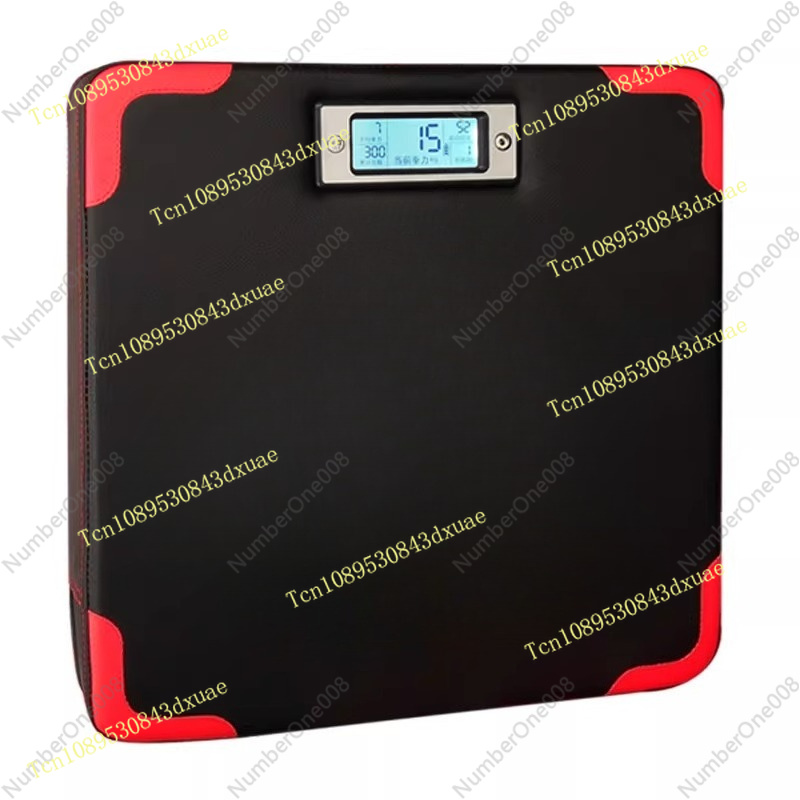 Speed Bag Boxing - Second Generation Punch Power Tester Force