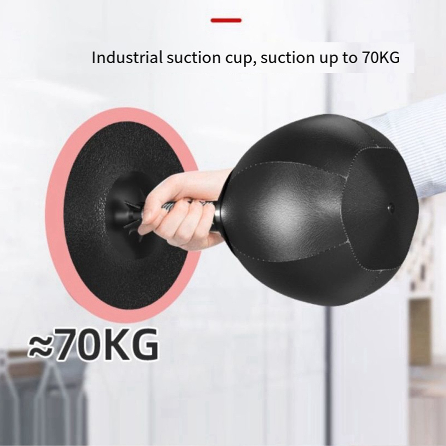 AINY-2X Desktop Boxing Punchin - Speed Bag Boxing 评论和价格