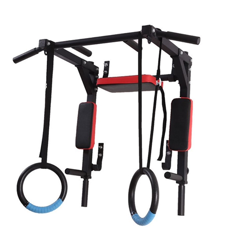 Heavy Duty Wall Mounted Parall - Home Gym Leg 评论和价格