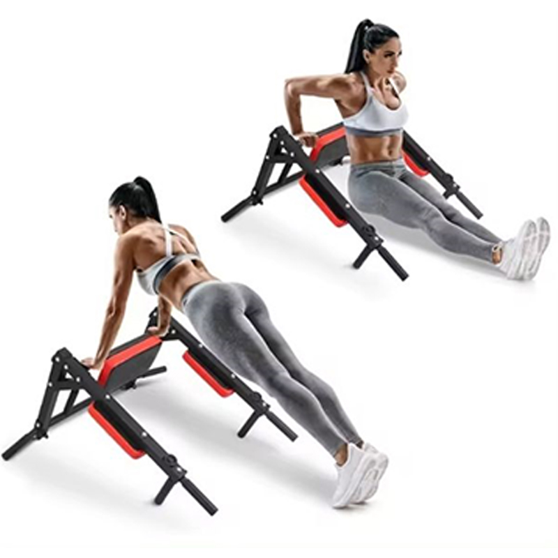 Heavy Duty Wall Mounted Parall - Home Gym Leg 评论和价格