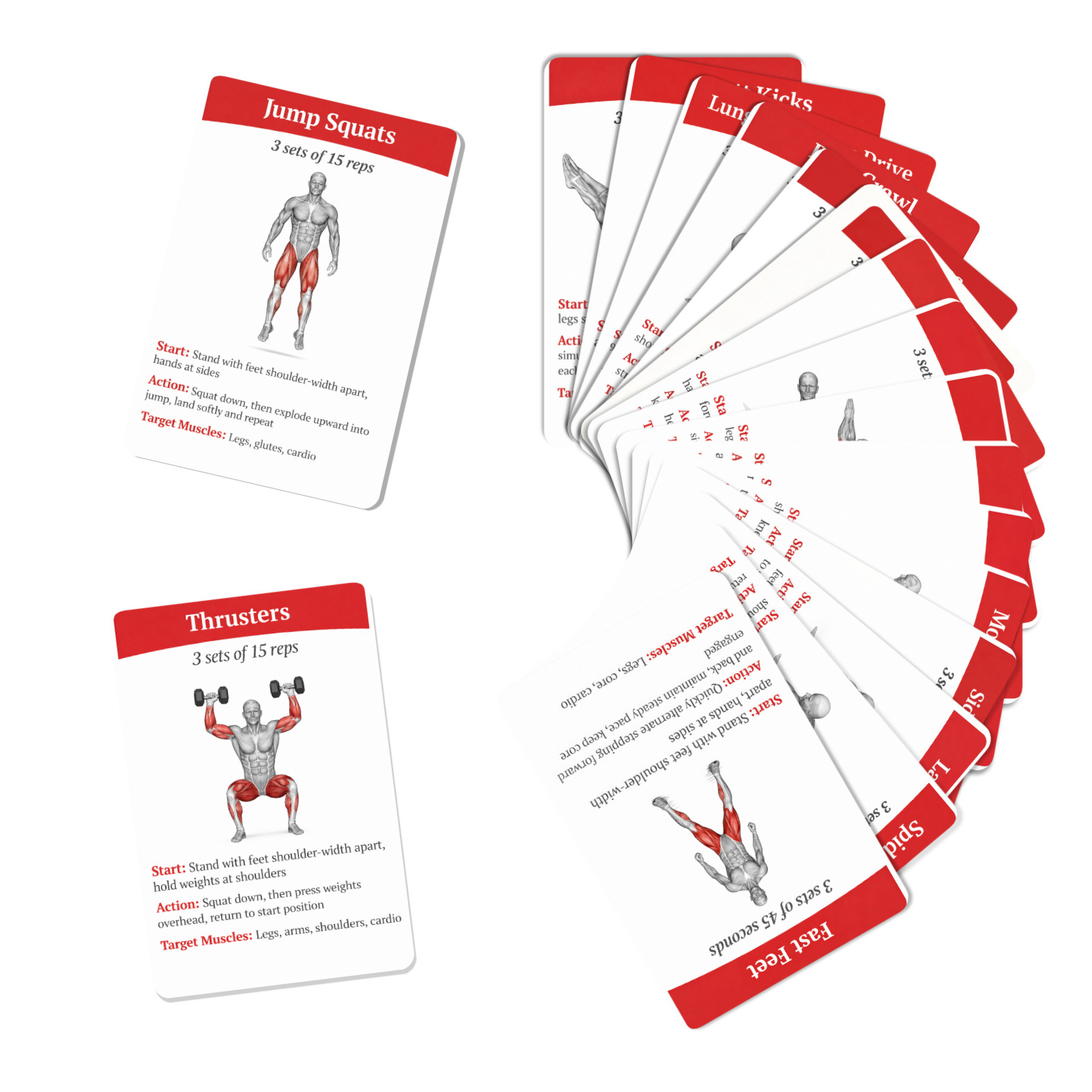 36Pcs Full Body Fat Burning Wo - Home Gym Full Setup 评论和价格